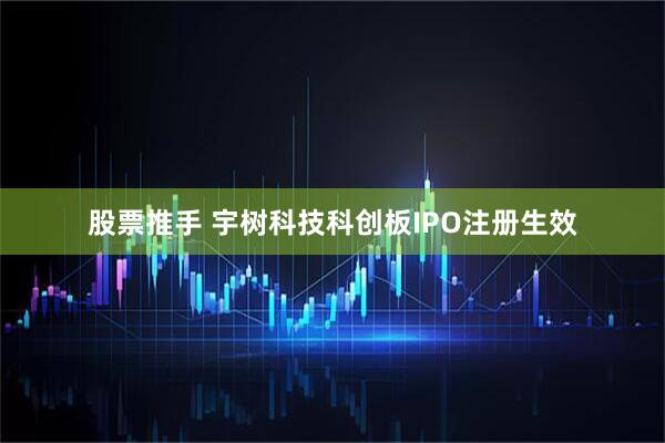 股票推手 宇树科技科创板IPO注册生效
